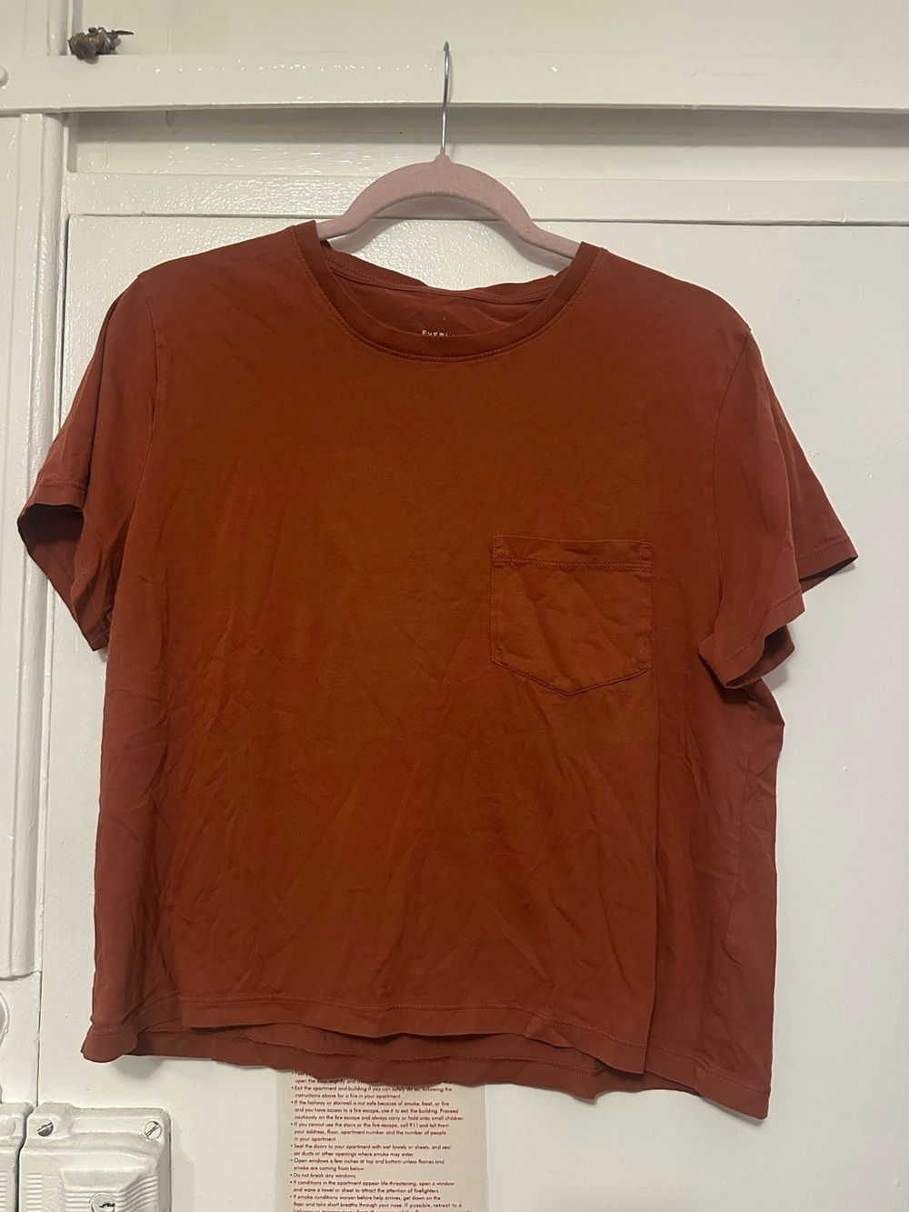 Everlane Cotton Boxy Tee